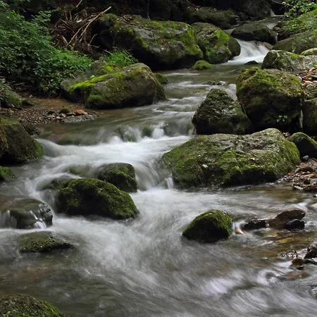 Kopaonik Lukovska Banja Lukovo (Kursumlija)